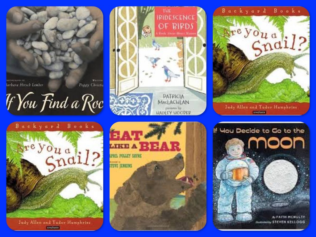 Mentor Texts in the Classroom: A Second Person Point of View Writing  Challenge – Marcie Flinchum Atkins